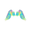 Pink_Bowtie 8
