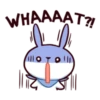 Hyper Bunny 16