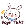 Hyper Bunny 18