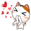 Kisa 11