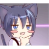 Boy of a black cat 9