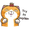 "
91
S03
)
Try
to
explain