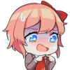 DDLC Team Salvato 14