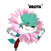 Yuki Sparkz 10