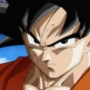 Dragon Ball 14