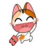 Kisa 13