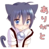 Boy of a black cat 11