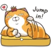 Օ
Hil
Jump
in!