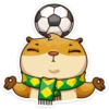 Football_fans_vk 11