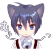 Boy of a black cat 16