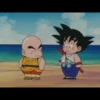 Dragon Ball 18