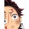 Demon Slayer 15