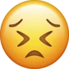 iOS 12 16