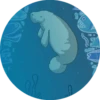 Lamentino the manatee 20