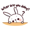 Hyper Bunny 21