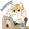 Котики mofu_sand 16