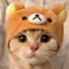 Cute Cats 20