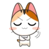 Kisa 19