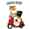 Котики mofu_sand 17
