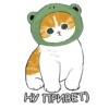 Котики mofu_sand 18