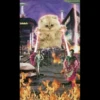 Cute Cats 23