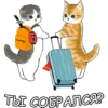 Котики mofu_sand 19