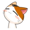 Kisa 21