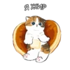 Котики mofu_sand 20