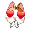 Kisa 23