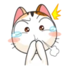 Kisa 24