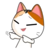 Kisa 25