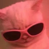 Cute Cats 26