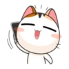 Kisa 26