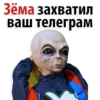 RaccoonZadrot 17