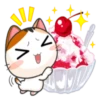Kisa 27