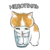 Котики mofu_sand 23