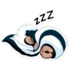 ZZZZ