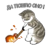 Котики mofu_sand 24