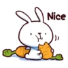 Hyper Bunny 27