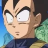 Dragon Ball 29