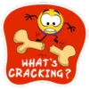 WHAT'S CRACKING?