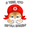 Котики mofu_sand 26