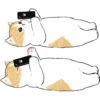 Котики mofu_sand 28