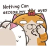 Nothing Can
escape my
2
03
"
eyes
C