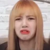 Lisa Blackpink 29