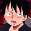 Luffy 5