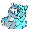 Galaxy’s da Husky 5