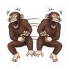 Crazy Funky Monkey 8