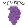 Member Berries 6