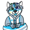 Galaxy’s da Husky 6